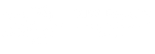 divi-logo-black
